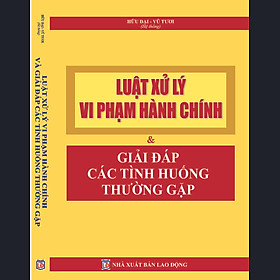 [Download Sách] LUẬT XỬ LÝ VI PHẠM HÀNH CHÍNH VÀ GIẢI ĐÁP CÁC TÌNH HUỐNG THƯỜNG GẶP