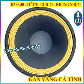 Hình ảnh CỦ LOA BASS 30 B3 TỪ 170 COIL 76 AUDIO GÂN VÀNG CAO CẤP - GIÁ 1 LOA