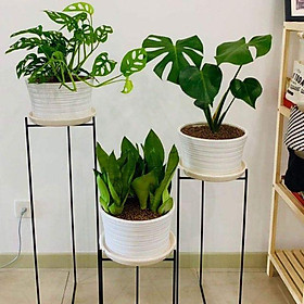 Mua giá đỡ cây cảnh set 3 kệ