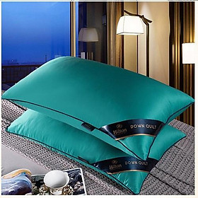 Mua CHIẾU ĐIỀU HOÀ CAO SU NON TENCEL TẶNG KÈM 2 VỎ GỐI