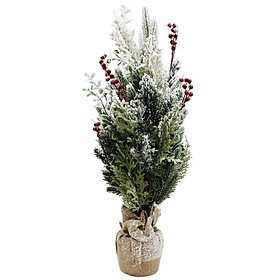 Mua Cây Thông Mini Phủ Tuyết Gắn Trái Đỏ 60cm - Chaang Chiia LP-DIA-60D