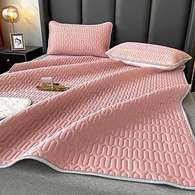 Mua CHIẾU 5D  SIÊU MÁT  Hàng loại 1 mát mịn  chiếu cao su thiên nhiên dày mát mướt vải đẹp có tặng kèm 2 áo gối  có thể giặt máy giặt thoải mái  chiếu ngủ ngon Nemtot Bedding
