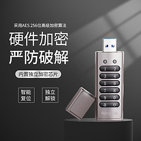 256-bit Encrypted USB Drive Password Secure Flash Drive USB3.0 U Disk Support Reset/Wipe/Auto Lock Function, Grey
