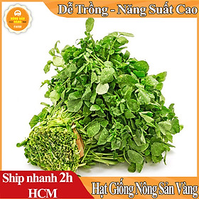Mua Hạt giống Xà Lách Xoong Dễ Trồng Tỉ Lệ Nảy Mầm Cao  Sinh Trưởng Và Phát Triển Khỏe  Năng Suất Cao (gói 0.5 Gram) - Nông Sản Vàng