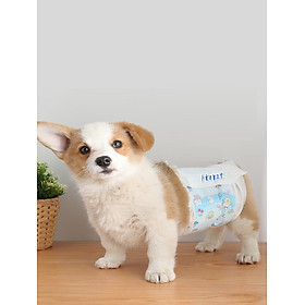 (Bịch 10 miếng)- Bỉm dán siêu thấm dạng quần chó đực và chó cái của Hanpet