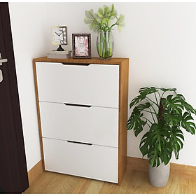 TỦ GIÀY THÔNG MINH 3 CÁNH TG20