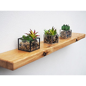 Mua Kệ trang trí treo tường chuyên chịu lực chống ẩm cao cấp nhiều màu ECOFURNIX GK2301