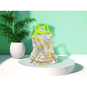 VÁY THÔNG HƠI TRÁI CÂY XINH XẮN TỪ 0.5-6.5KG DÀNH CHO THÚ CƯNG CHÓ MÈO