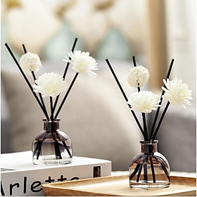 Mua TD Thơm Phòng Que Gỗ Tự Khuếch Tán ( D14)