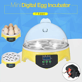 Máy Ấp Trứng Điện Tử Mini Điều Chỉnh Được Nhiệt Độ (7 Ô Đựng Trứng)