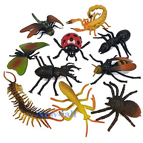 Đồ chơi 10 mô hình Côn Trùng Safari New4all Animal World size lớn 9-17 cm cho bé 3 tuổi học hỏi và phát triển trí não