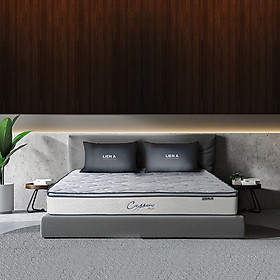 Mua Nệm Lò Xo Liên Á CASSARO PLUSH