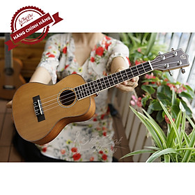 Mua Đàn Ukulele Concert Chard U-24E  Mặt Đàn Gỗ Tuyết Tùng - Hàng chính hãng