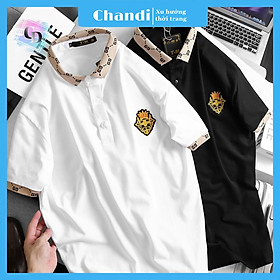 Áo Thun Nam Ngắn Tay Thương Hiệu Chandi, Chất Thun Cotton Xịn Mẫu Mới NH4