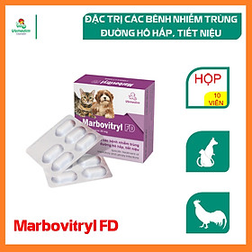 Vemedim Marbovitryl FD - Đặc trị bệnh nhiễm trùng, đường hô hấp, tiết niệu trên chó, mèo, hộp 10 viên
