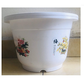2 Châu Nhựa BỐN MÙA Hình Tròn Màu Trắng Kích Thước A330 VN