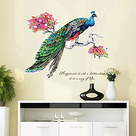 Mua Decal dán tường peacook