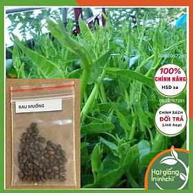 Mua Hạt rau muống siêu ngọn Thái lan F1  Gói 30 Gram  Rau củ quả trồng sân thượng  tại vườn  ban công.