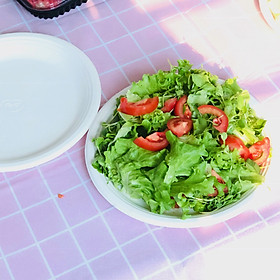 Mua Dĩa Giấy FEST BIO PLATE 9 Inches Trắng THÁI LAN Cao Cấp Hàng Nhập Khẩu  Không Tráng PE  Dùng Tốt Trong Lò Vi Sóng  Nướng ở Nhiệt Độ Tối Đa 180 Độ - CHÍNH HÃNG F004