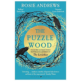 Sách ngoại văn: The Puzzle Wood - Macmillan Publishers