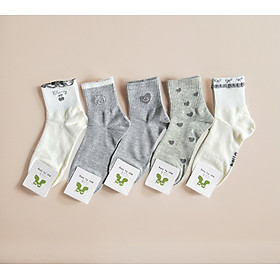SET 5 ĐÔI TẤT VỚ NỮ CAO CỔ MÃ 17 DÀNH CHO NỮ