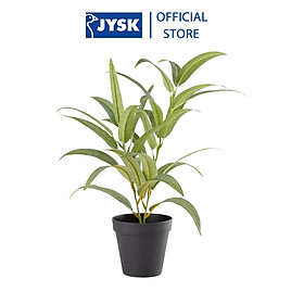 Mua Cây trang trí | JYSK Larsson | xi măng/nhựa PE | xanh/đen | DK11xC43cm