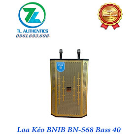 Mua Loa Kéo karaoke BNIB Model BN-568 bass 40 kết nối bluetooth có reverb 2 tay mic UHF hợp kim hàng chính hãng nhập khẩu mới nhất 2024 bảo hành 6 tháng