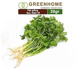 Hạt Giống Ngò Rí Greenhome, Gói 20gr, Dễ Trồng Quanh Năm, Nảy Mầm Cao, Thu Hoạch Nhanh, Năng Suất Cao G03