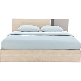 Mua Giường INDEX VISTA 6 Ft. (190 x 214.7 x 88.5 cm)