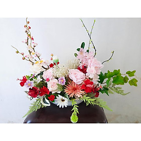 Mua ĐĨA HOA XUÂN HỒNG