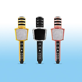 Micro karaoke Bluetooth PF165 SD17 3 trong 1