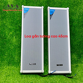 Mua LOA TREO TƯỜNG FLYKACE FT 206