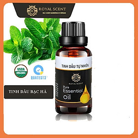 Mua Tinh Dầu Bạc Hà nguyên chất 100ml | Xông phòng  đuổi chuột