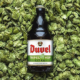 Lốc 6 Chai Bia Duvel Triple Hop Citra 330ml