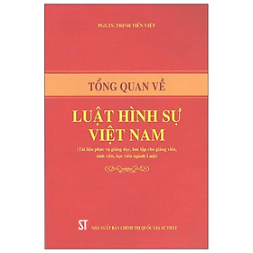 Tổng Quan Về Luật Hình Sự Việt Nam