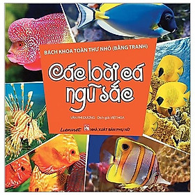 Bách Khoa Toàn Thư Nhỏ (Bằng Tranh) - Các Loài Cá Ngũ Sắc