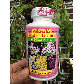 Mua KÍCH HOA THÁI