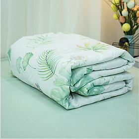 Mua Chăn chần bông Everon Lite chất vải microfiber TDELM kích thước 1m6x2m