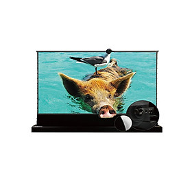 Mua Màn chiếu quang học ALR UST để sàn Vividstorm VSDSTUST100H 100 Inch (16:9) hàng chính hãng -ZAMACO AUDIO