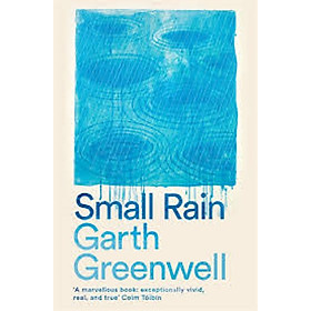 Small Rain