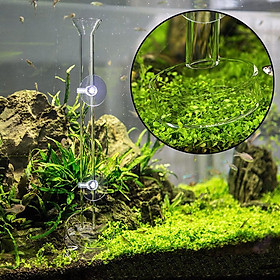 2Pcs Glass Shrimp Feeding Dish and Feeding Tube for Aquarium Shrimp Tank