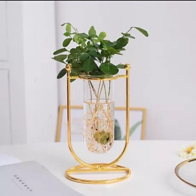 Mua Giá cắm cây xanh/ hoa để bàn trang trí phòng cách hiện đại