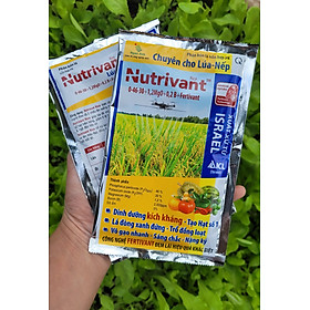 Phân bón lá NUTRIVANT 0-46-30 gói 70 g dinh dưỡng kích kháng, dưỡng xanh lá đòng, vô gạo nhanh, hạt sáng chắc