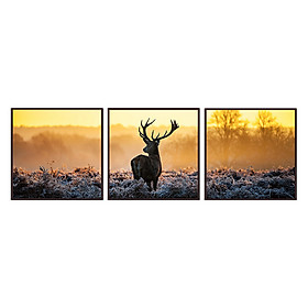 Bộ 3 Tranh treo tường