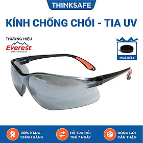 Mua Kính bảo hộ Everest EV204 Kính chống bụi  chống đọng sương  chống tia UV  bảo vệ mắt khi đi xe máy - EV204 Smoke Mirror Anti Frog