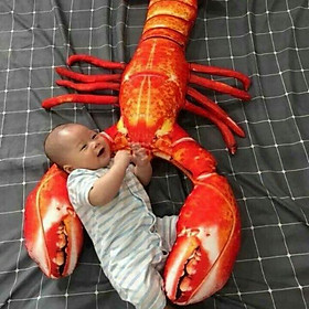 Mua Gối ôm 3d con tôm hùm 1m