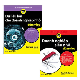 Nơi bán Bộ 2 cuốn Doanh nghiệp siêu nhỏ +Dữ liệu lớn cho doanh nghiệp nhỏ for Dummies - Giá Từ -1đ