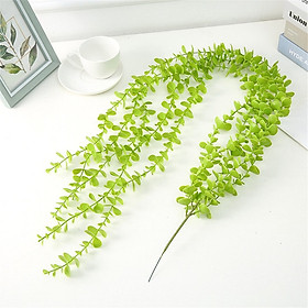 Dây Leo cúc tần ấn độ lá to - Size dài từ 90cm đến 120cm - Cây giả, hoa lụa Decor trang trí nhà cửa