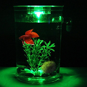 Mua Aquarium Fish Tank Decorative Mini Aquarium LED Light Lamp ...