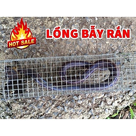 Mua Lồng Bắt Rắn Bẫy Rắn